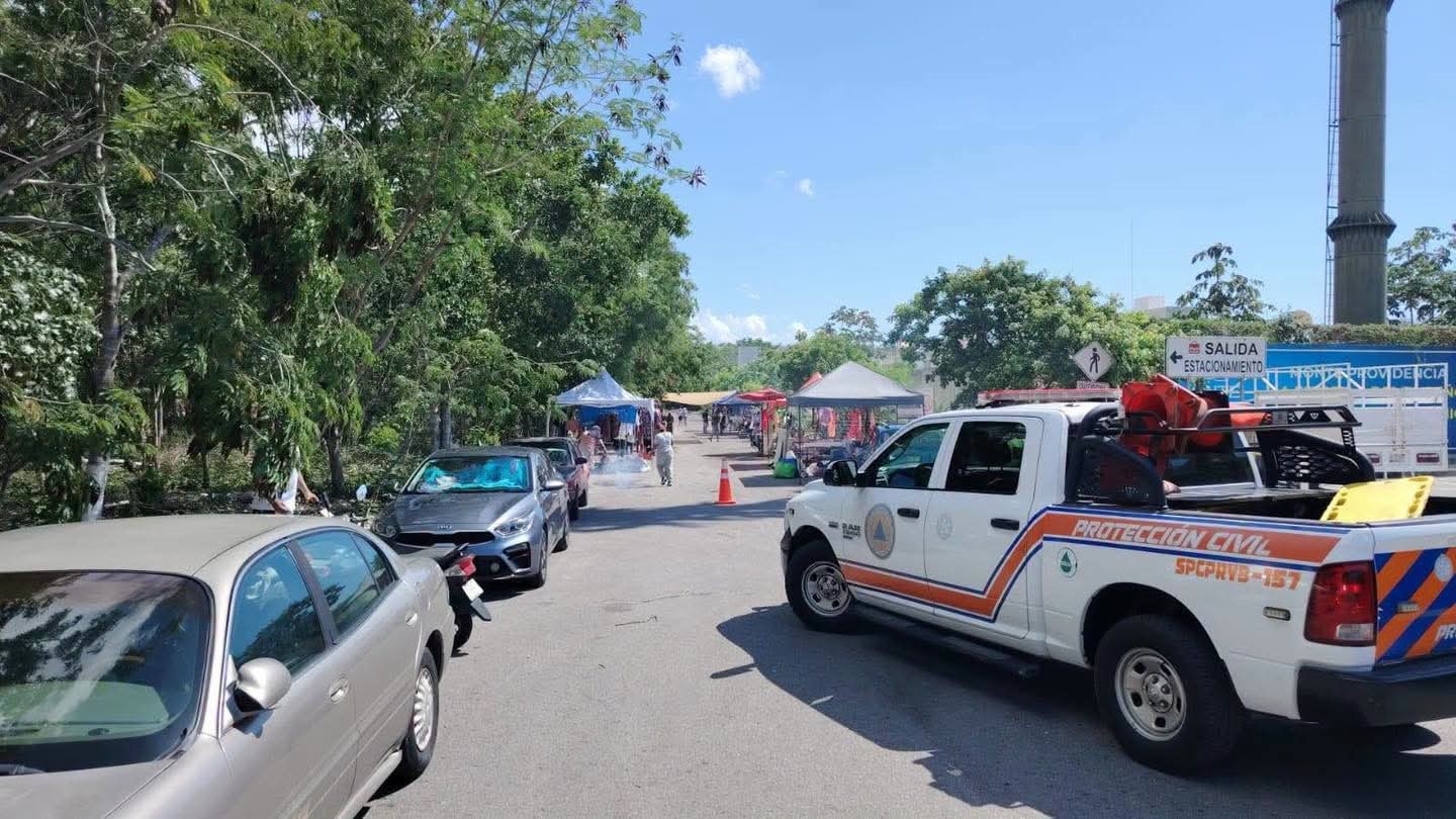 ¡Alerta en Playa del Carmen! Abejas Pican a Dos Personas en Tianguis