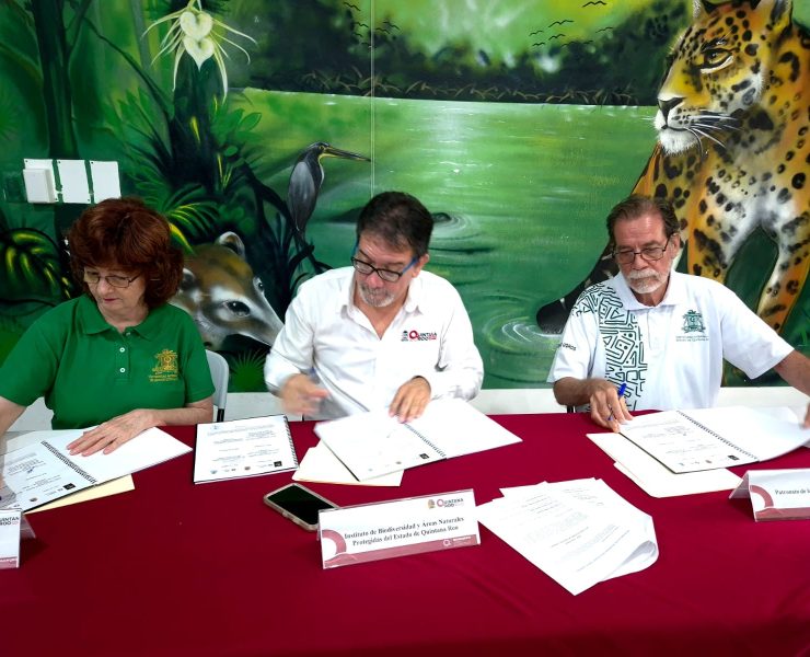 Xcacel-Xcacelito: Alianza Histórica Refuerza Conservación Ambiental en Quintana Roo