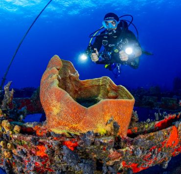 Buceo en Quintana Roo: Nuevos Acuerdos Para Facilitar La Experiencia Turística