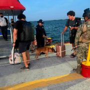 Unidad Canina K9 intensifica vigilancia y prevención en Quintana Roo