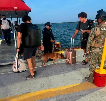 Unidad Canina K9 intensifica vigilancia y prevención en Quintana Roo