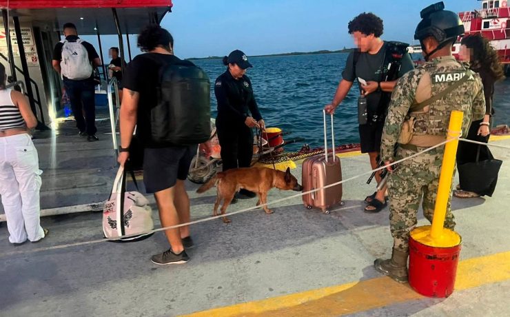 Unidad Canina K9 intensifica vigilancia y prevención en Quintana Roo